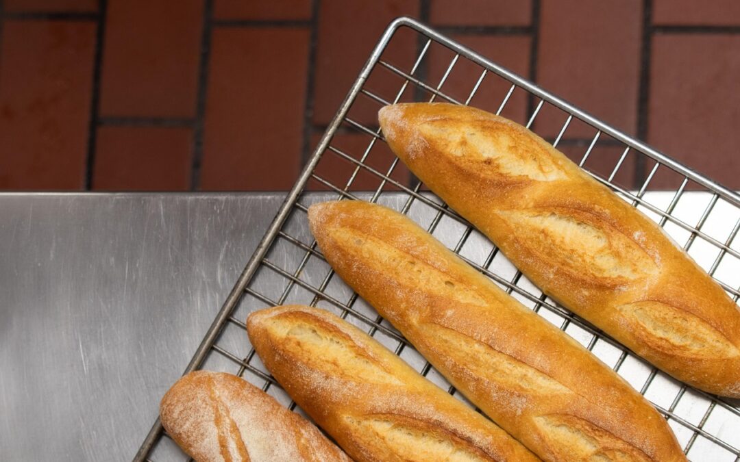 Quels sont les différents types de fours utilisés en boulangerie ?