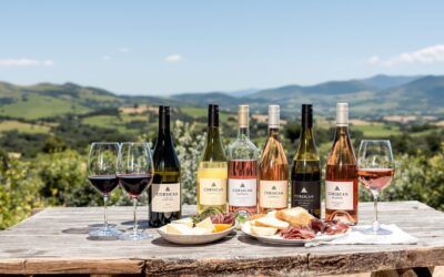 Quels sont les vins emblématiques que l’on retrouve en Corse ?